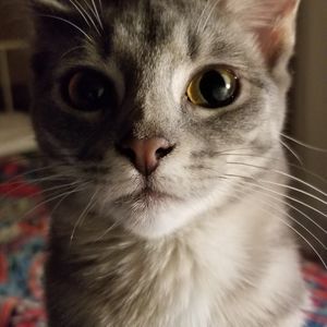 Meet your Posher, Sandralea